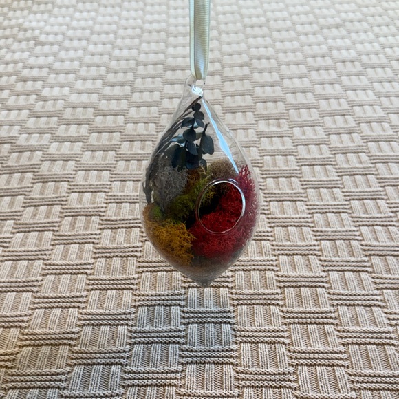 Glass Teardrop Hanging Terrarium with Red, Yellow, and Green Moss - Picture 2 of 10